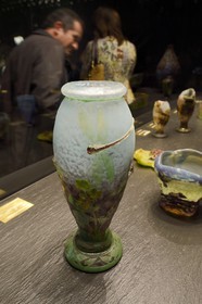 France, Meurthe-et-Moselle, Nancy, Stanislas square, Fine Arts museum, hall of the Daum collection, vase with dragonflies and buttercups (1904)