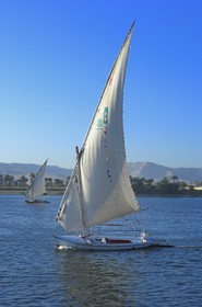 Egypt, Upper Egypt, Nile Valley, Luxor, felucca on the Nile