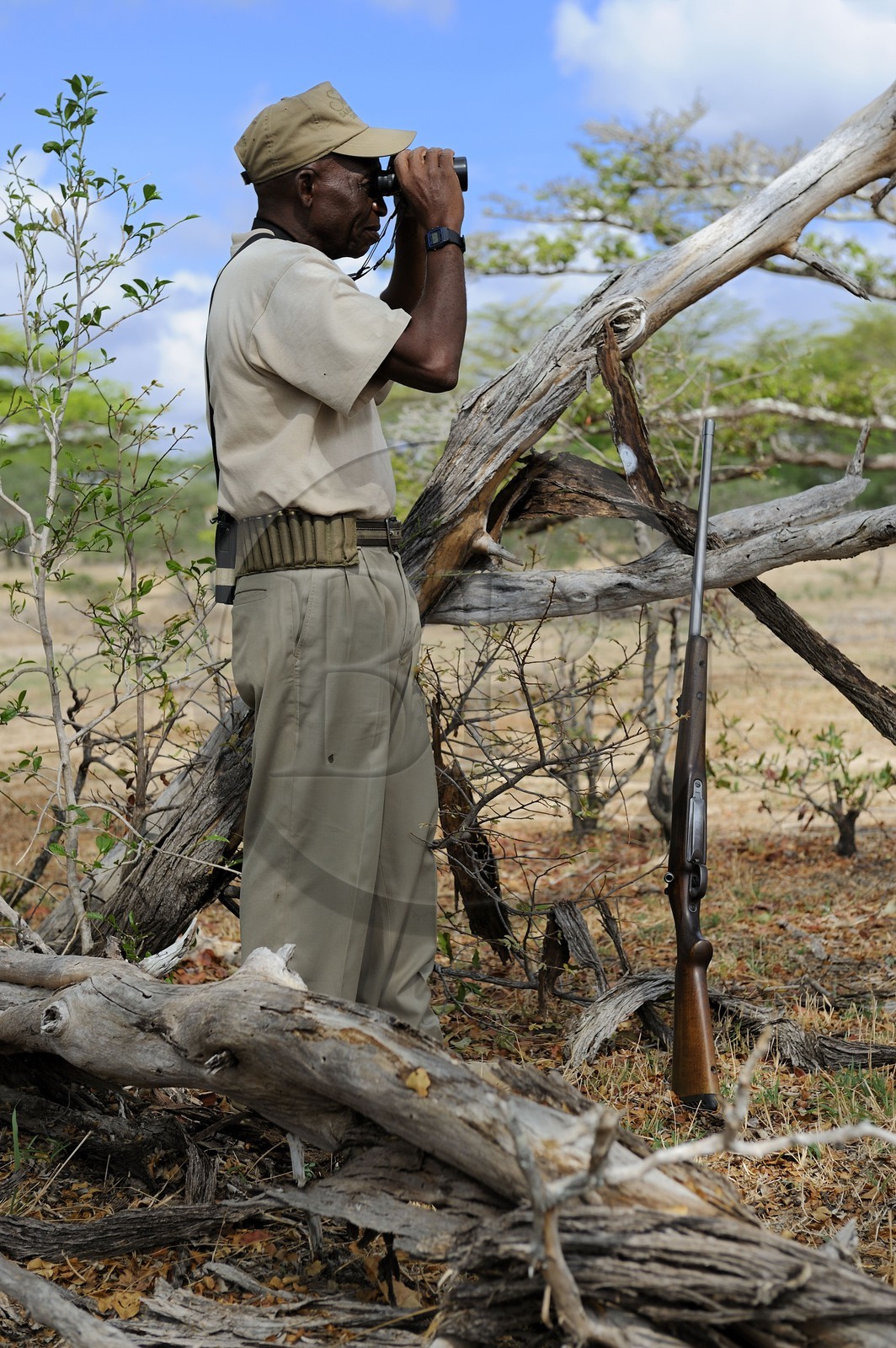 Tanzanie, Reserve de gibier de Selous une des plus grandes zones protégées au monde et inscrite sur la liste du patrimoine mondial de l’Unesco depuis 1982, Mtambo le ranger du Selous Camp