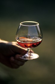France, Gers, a glass of Cognac