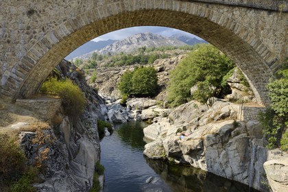 France, Haute Corse, Niolu (Niolo) region, swimming in the Golo river around the Genoese bridge Ponte Altu, the new bridge of the D84