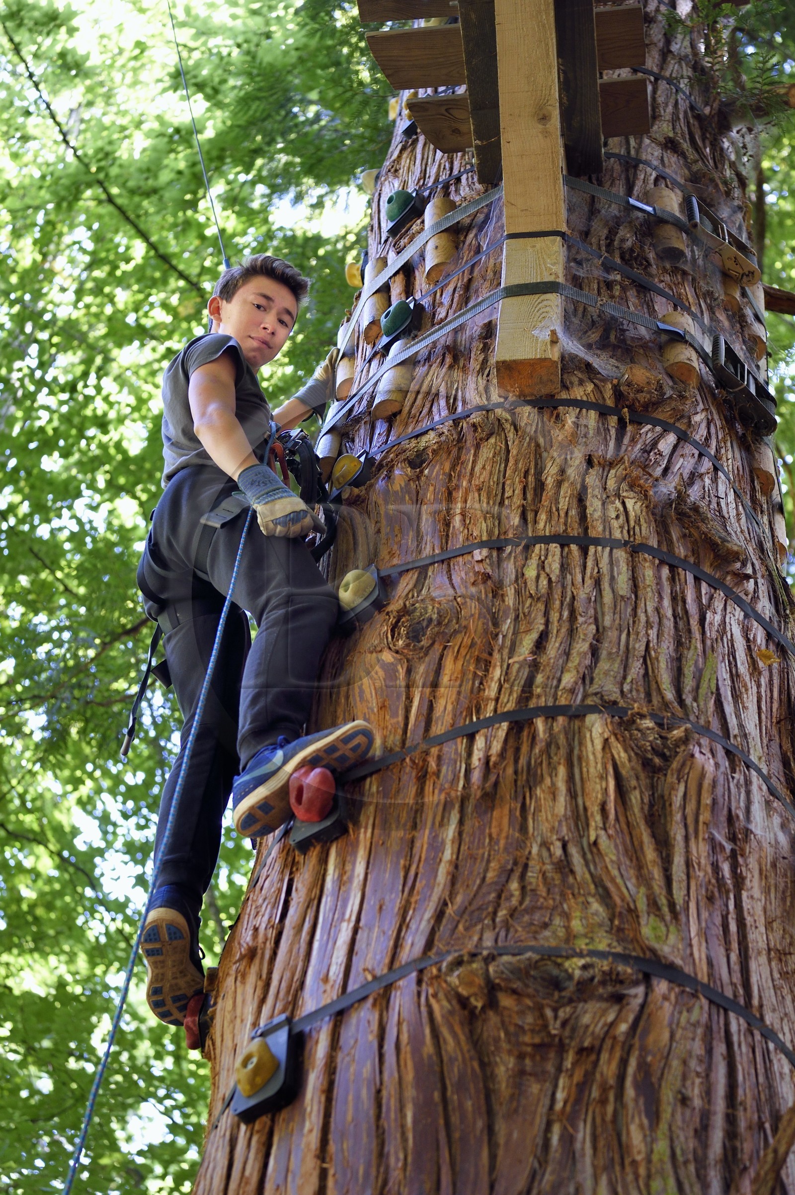 Suisse, Canton de Vaud, Aigle, parcours acrobatique en hauteur (accrobranche) au Parc Aventure