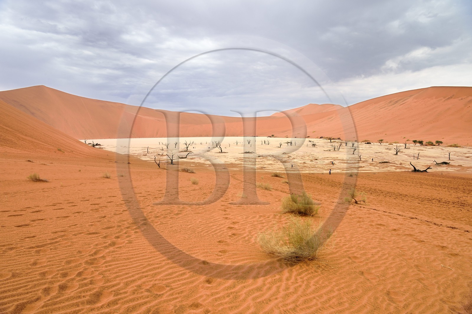 Namibie, région d'Hardap, désert du Namib, parc national du Namib-Naukluft, Erg du Namib classé Patrimoine Mondial de l'UNESCO, dunes de Sossusvlei, Dead Vlei