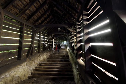 Roumanie, Transylvanie, Sighisoara, fait partie des sept villes fortifiées saxonnes de Transylvanie, classé Patrimoine Mondial de l'UNESCO, Scara scolarilor (l'escalier des écoliers), escalier couvert en bois