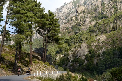 France, Haute Corse, Corte, Restonica valley