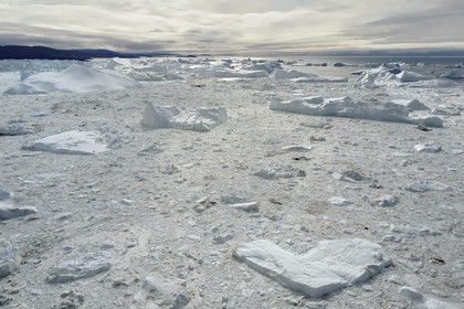 Groenland, cote ouest, baie de Disko, Ilulissat, le fjord glac