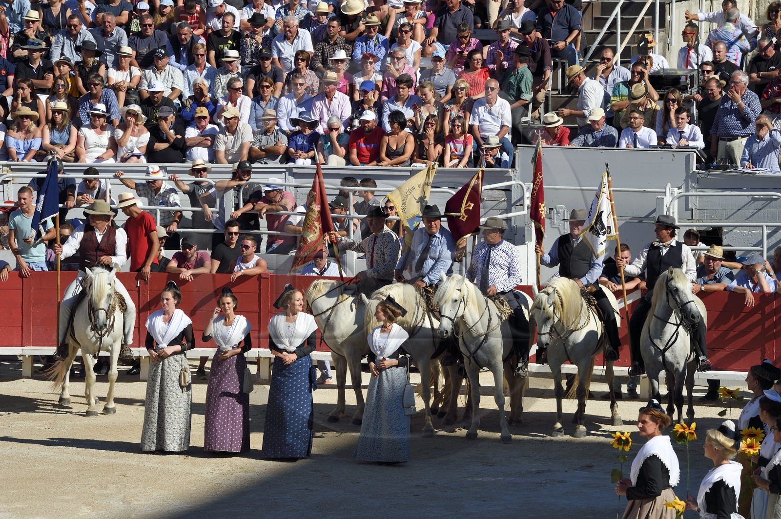 France, Bouches-du-Rhône (13), Arles, la course camarguaise  de la Cocarde d'Or aux Arènes, la Reine d'Arles (en robe bleue) ouvre la course avec les manadiers