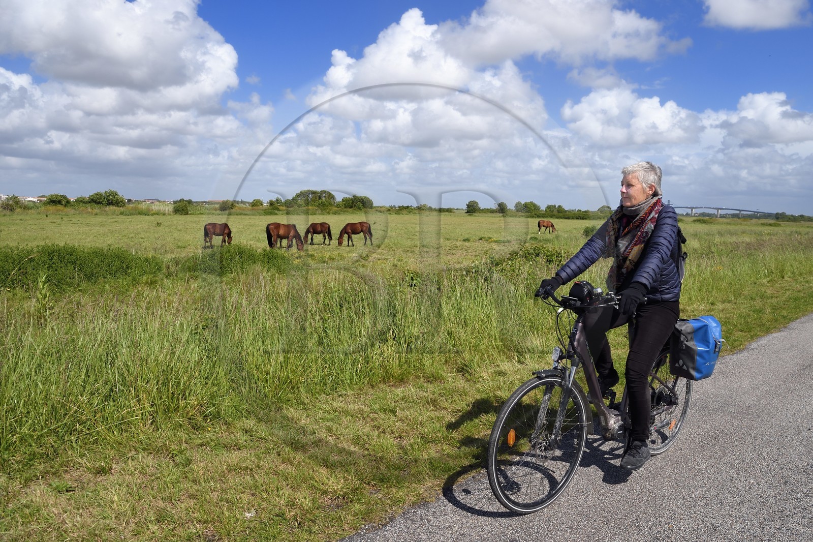 France, Charente-Maritime (17), Rochefort, cyclistes sur la véloroute La Flow Vélo dans les zones inondables de l'estuaire de la Charente