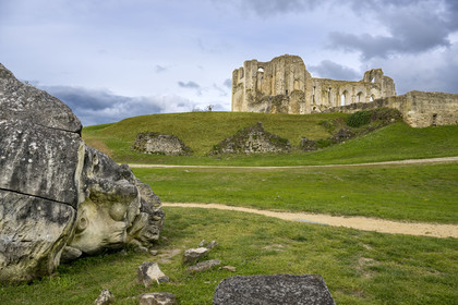France, Vendée (85), Parc Interrégional du Marais Poitevin labellisé Grand Site de France, Maillezais, vestiges de l'abbaye Saint-Pierre de Maillezais, tête réalisée en 2000 représentant Geoffroy la Grand'Dent