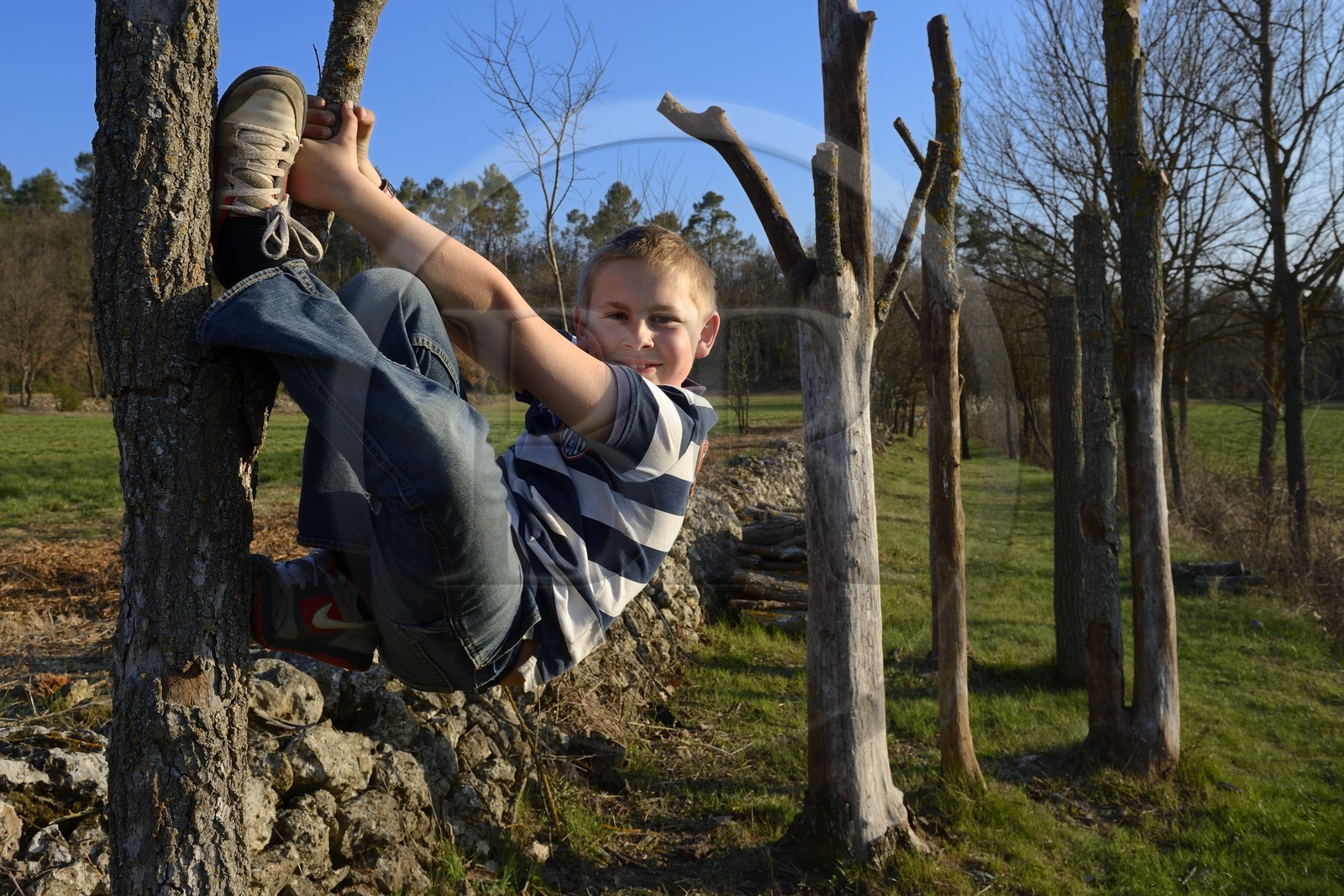 France, Var (83), Provence Verte, Bras, vers Saint-Maximin-la-Sainte-Baume, la maison d'hôtes Le Peyrourier, une campagne en Provence