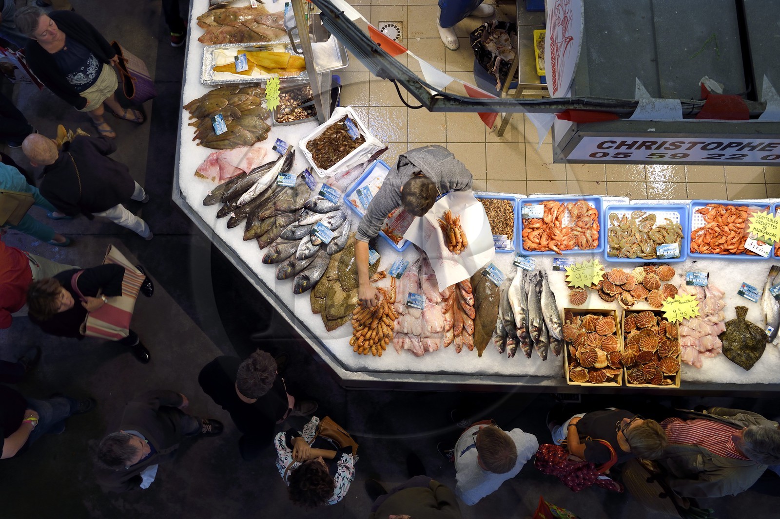 France, Pyrénées-Atlantiques (64), Pays-Basque, Biarritz, le marché couvert des Halles, la halle des poissonniers