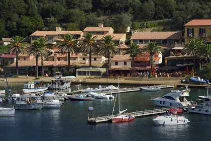 France, Var (83), Iles d'Hyères, parc national de Port Cros, Ile de Port-Cros, le port et village