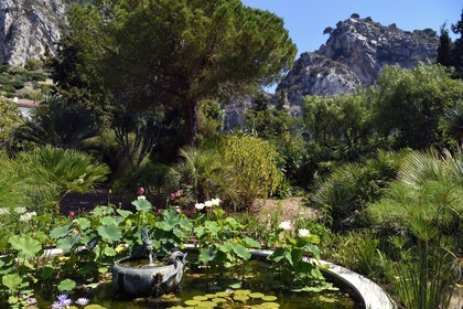 France, Alpes-Maritimes (06), Menton, quartier de Garavan, le jardin de Maria Serena, le bassin de la Fontaine au Dragon (ancienne fontaine japonaise qui a appartenue à un shogun)