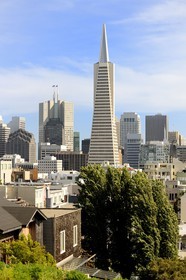 United States, California, San Francisco, Financial District, Transamerica Pyramid Building by the architect William Leonard Pereira