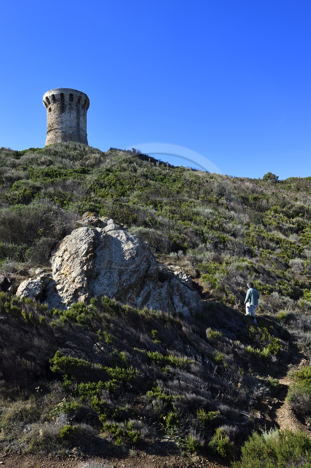 France, Corse du Sud, Zonza, Fautea genoese tower