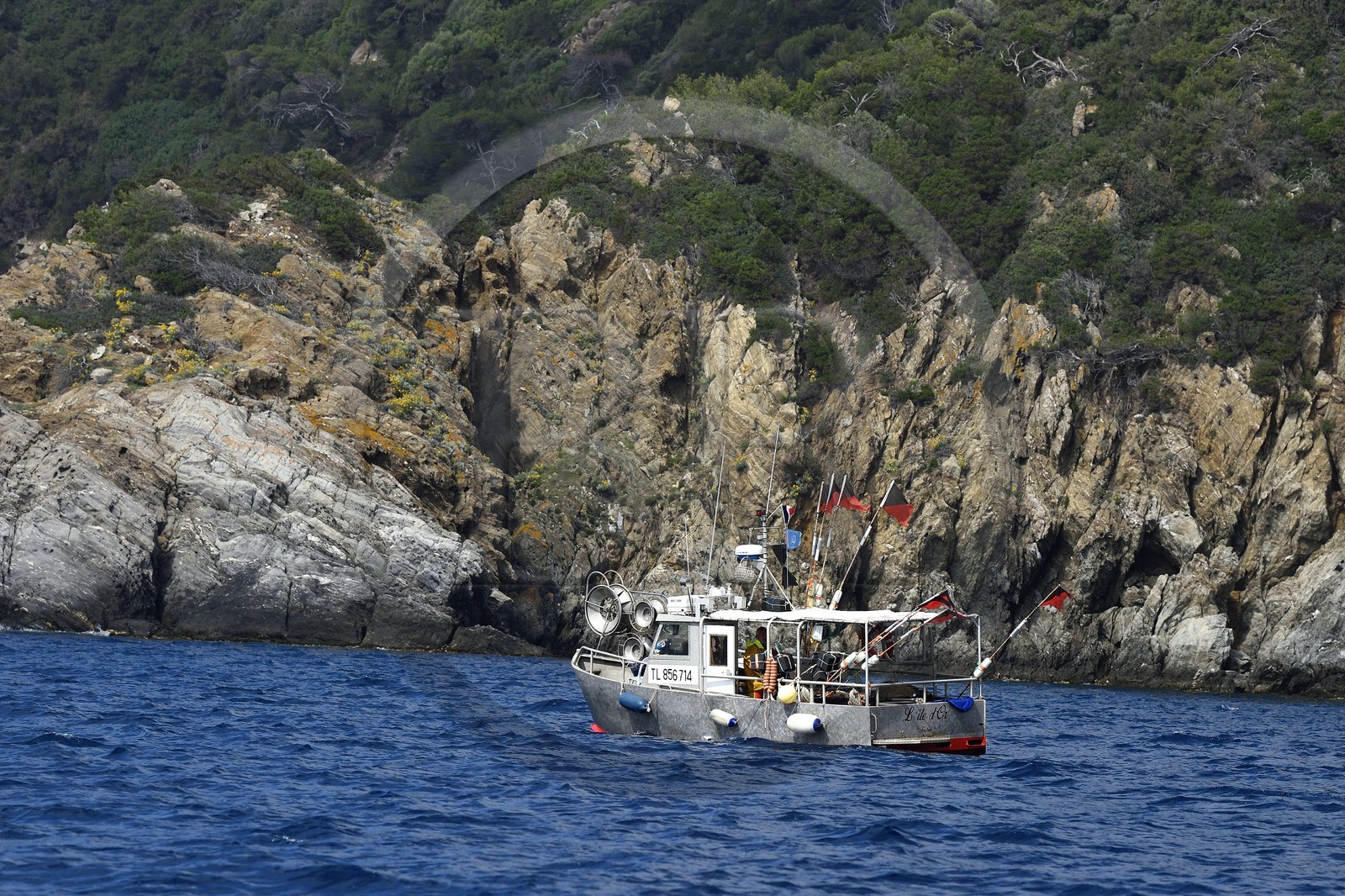 France, Var (83), Iles d'Hyères, Parc national de Port Cros, Ile de Port-Cros, un des quelques bateaux autorisés à pecher autour de l'ile