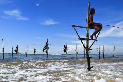 Sri Lanka, Southern Province, Galle district, Midigama beach, Pole Fishermen or Stilt Fishermen ply their trade along the Galle coastline