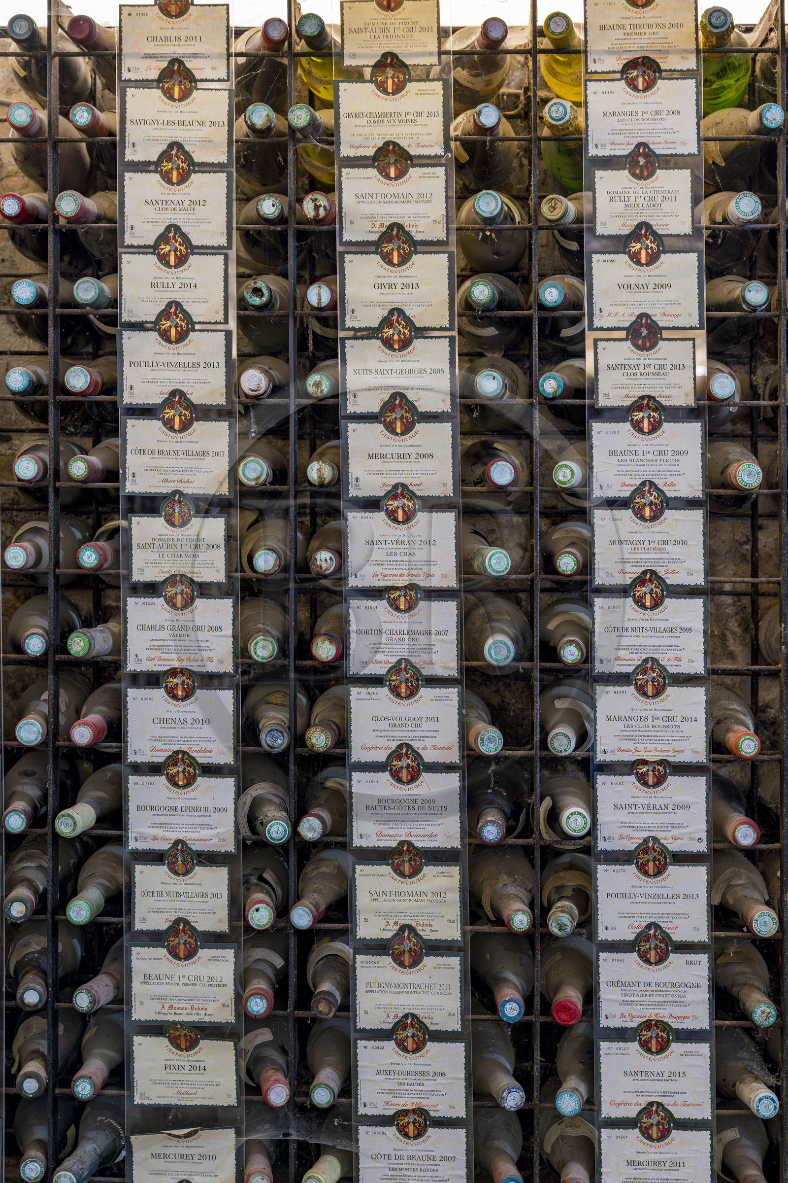 France, Côte-d'Or (21), Paysage culturel des climats de Bourgogne classés Patrimoine Mondial de l'UNESCO, Route des Grands Crus, vignoble de la Côte de Nuits, Vougeot, le Chateau du Clos de Vougeot, oenothèque dans le cellier du château du Clos de Vougeot avec les plaques des tastevinages annuels