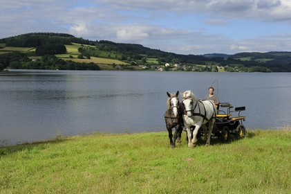 France, Nièvre (58), lac de Pannecière, Alain Perruchot agriculteur et éleveur de chevaux au commande de son attelage