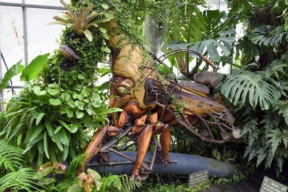 France, Loire-Atlantique, Nantes, gallery of the Machines de l'Ile in the hangars of former shipyards, an artistic project created by François Delaroziere and Pierre Orefice, a Travelling Treehopper