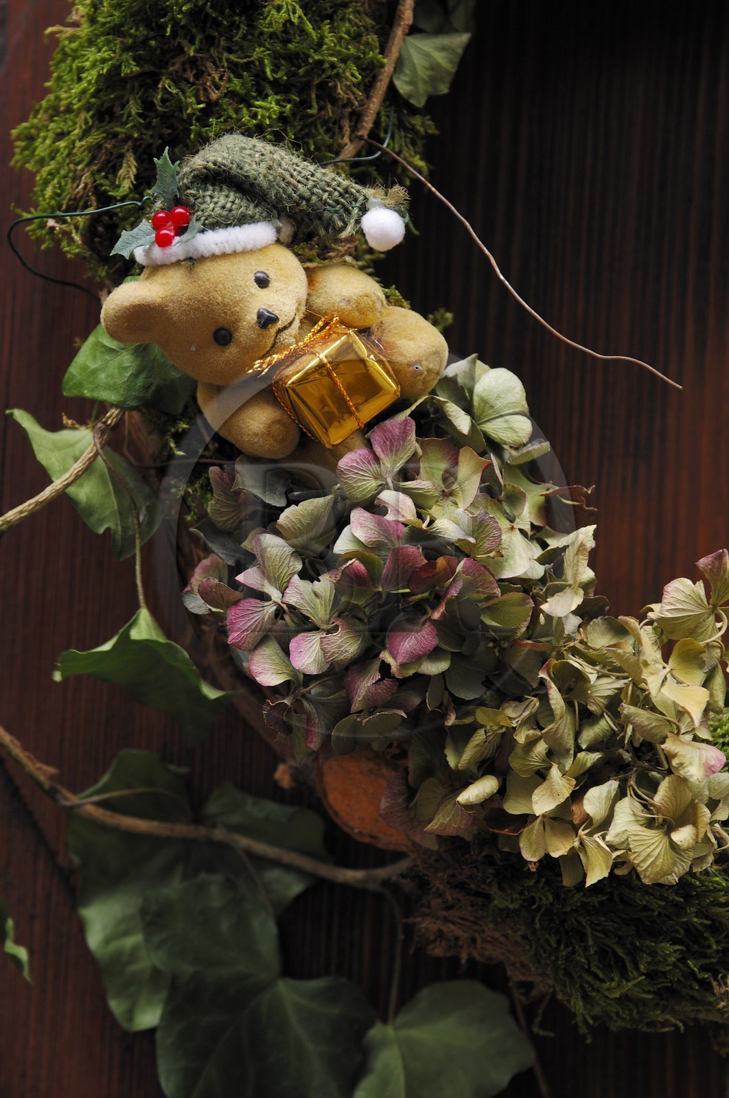 France, Haut Rhin (68), Colmar, decoration de Noel