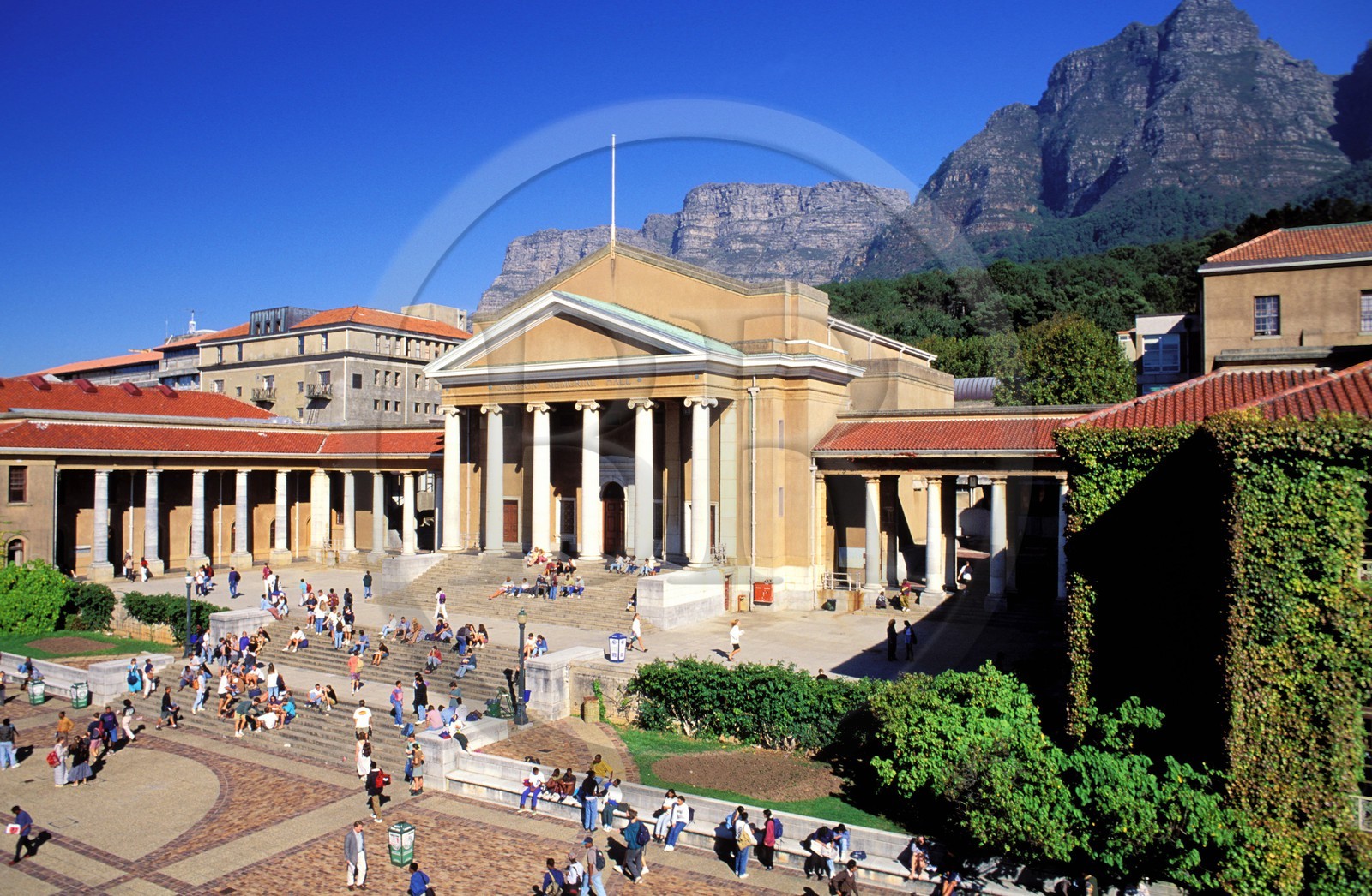 Afrique du Sud, péninsule du Cap, l'Université de Cape Town (UCT)