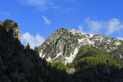 France, Alpes-Maritimes, parc national du Mercantour ( Mercantour national park), Haute-Vesubie, Gordolasque valley