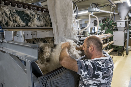 France, Vaucluse, L'Isle sur la Sorgue, Brun de Vian-Tiran Factory, wool textile industry, Cashmere goat hair before carding