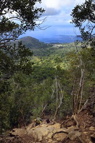 France, Ile de Mayotte, Grande-Terre, Réserve Forestière des Cretes du Sud, randonneurs montant au sommet du Mont Choungui (594 mètres)