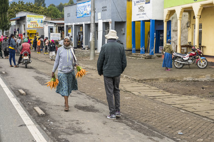 Rwanda, Province du Nord, District de Musanze (Ruhengeri), femme transportant des carottes au bord de la Route Nationale 4 qui va de Ruhengeri à Goma au Congo