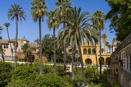 Spain, Andalusia, Seville, the Alcazar of Seville (Reales Alcazares de Sevilla), listed as World Heritage by UNESCO, the gardens and the Palacio Gotico