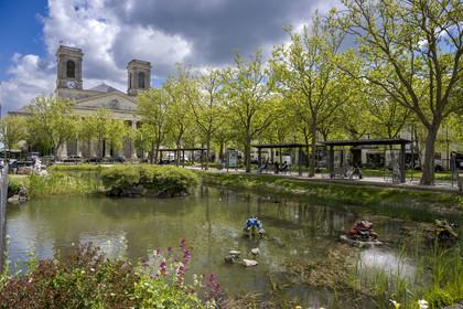 France, Vendee, La Roche-sur-Yon, place Napoléon, mechanical toads creations by the company La Machine and the Saint-Louis church
