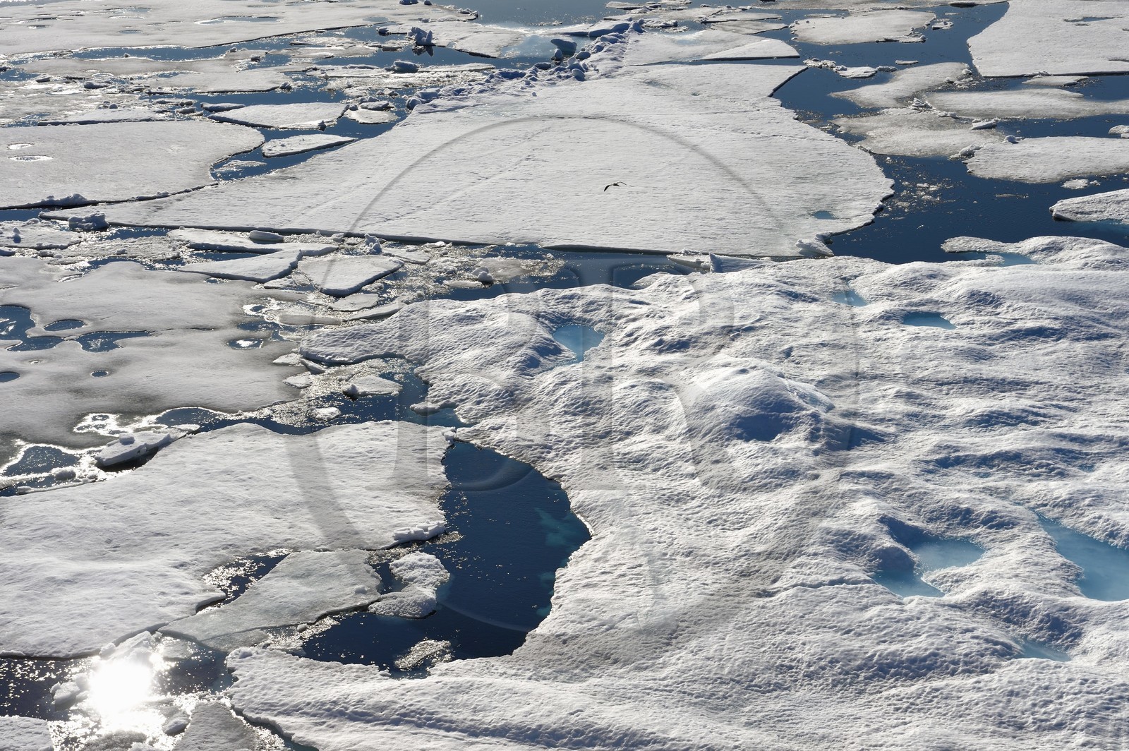 Groenland, cote Nord-Ouest, Smith sound au nord de la baie de Baffin, morceaux de glace de la banquise arctique en train de fondre