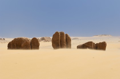 Egypte, Haute-Egypte, désert libyque, paysage désertique vers  Umm el-Dabadib au nord-est de Kharga