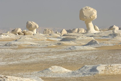 Egypt, Libyan Desert, the White Desert North of Farafra