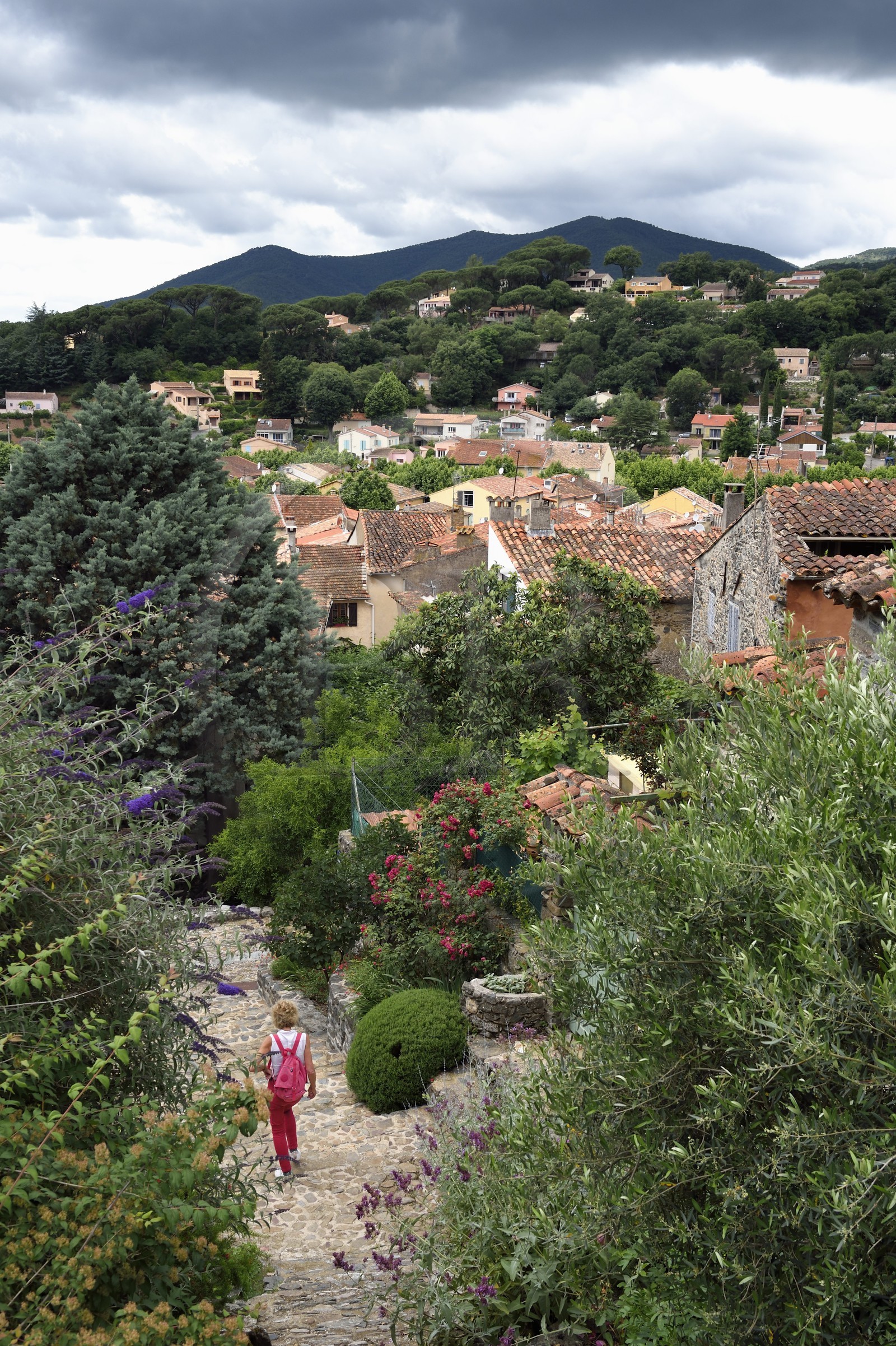 France, Var (83), Massif des Maures, Collobrières