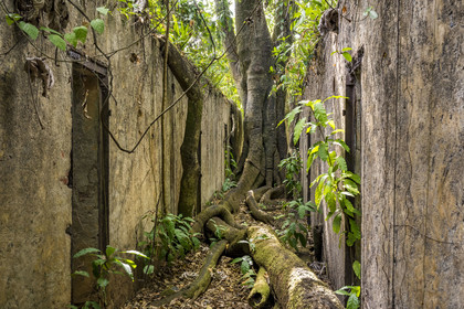 France, French Guiana, Kourou, Salvation Islands (Iles du Salut), Saint Joseph Island, ruin of the penal colony dedicated to the seclusion of the most difficult prisoners
