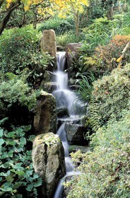 France, Hauts de Seine, Boulogne Billancourt, Japanese garden in Albert Kahn departmental museum