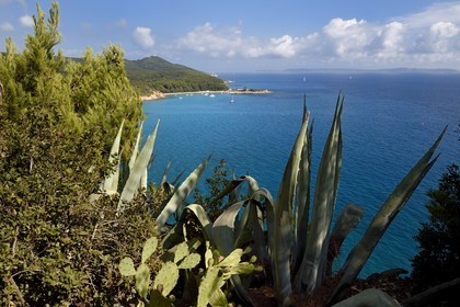 France, Var (83), Bormes les Mimosas, vu du Fort de Brégançon sur la Pointe de la Galère, en arrière plan à droite les Iles du Levant