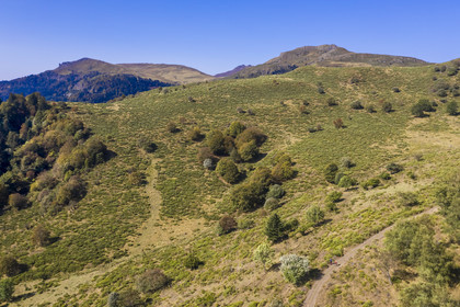 France, Cantal (15), Parc Naturel Régional des Volcans d'Auvergne, Laveissière, randonneurs sur le chemin de Saint-Jacques de Compostelle par la Via Arverna, le Rocher du Bec de l'Aigle à gauche, le Puy de Seycheuse à droite et le Puy Mary en arrière plan (vue aérienne)