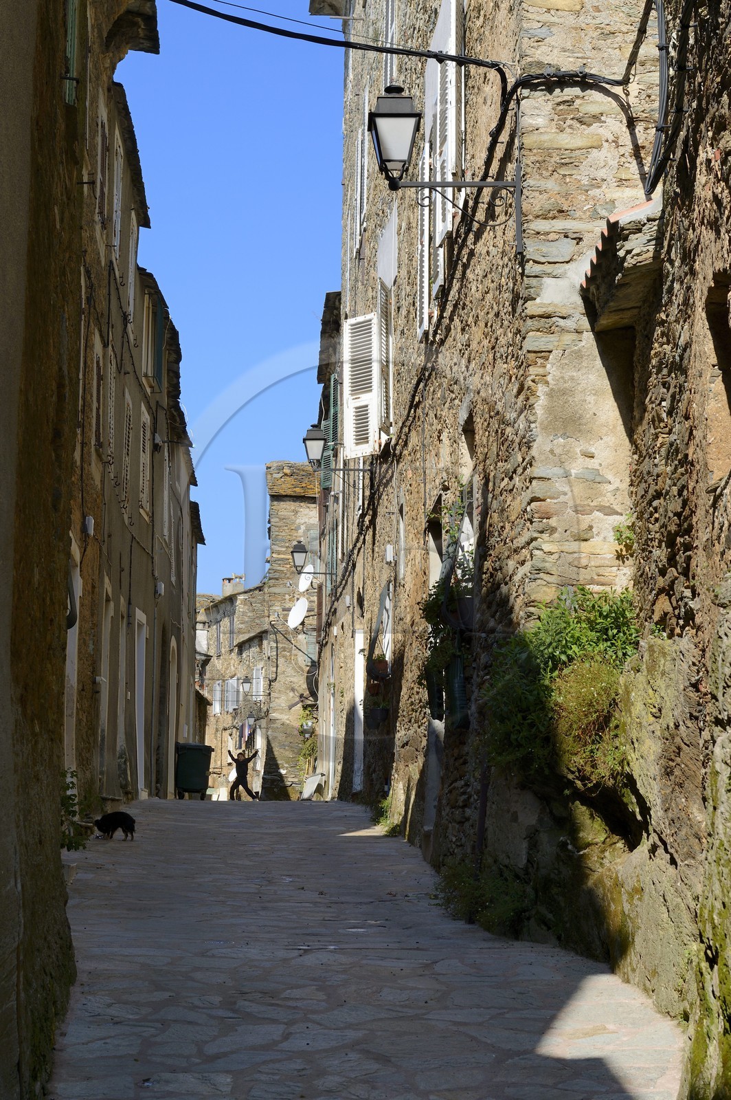 France, Haute Corse, Casinca region in Castagniccia, schist houses in the main street from the village of Venzolasca