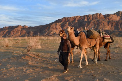 Iran, Province d'Ispahan, désert du Dasht-e Kavir, Mesr dans la région de Khur et Biabanak, caravane de dromadaires au pied de la chaine de montagne de Dareh bidan au coucher de soleil