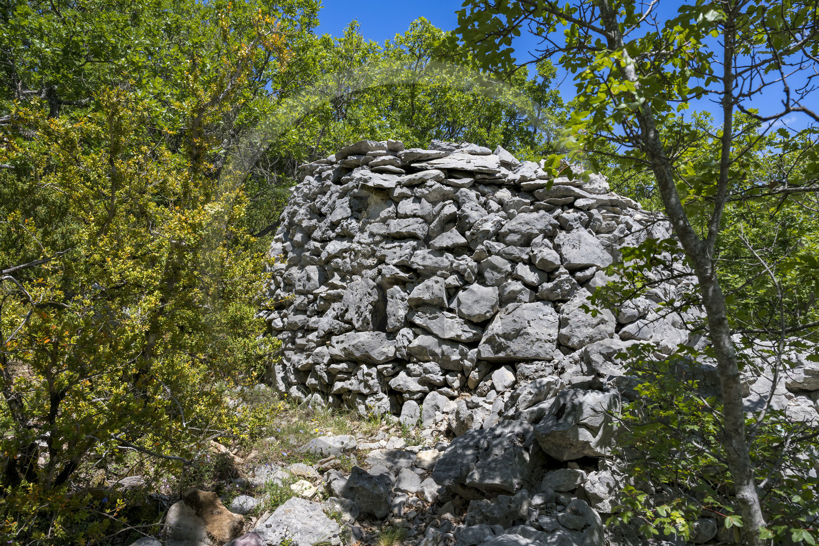 France, Vaucluse (84), Parc naturel régional du Mont Ventoux, Monieux, abris en pierres sèche appelé borie dans la garrigue surplombant les Gorges de La Nesque