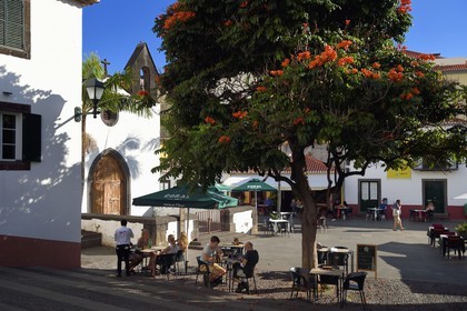Portugal, Madeira Island, Funchal, Largo do Corpo Santo place