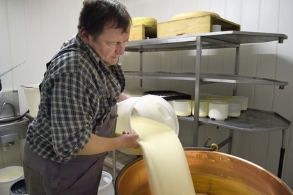 France, Haut-Rhin (68), Wasserbourg, Ferme-auberge Buchwald, le marcaire Michel Wehrey à la fabrication du fromage de munster AOP (lait de vache) dans un chaudron en cuivre