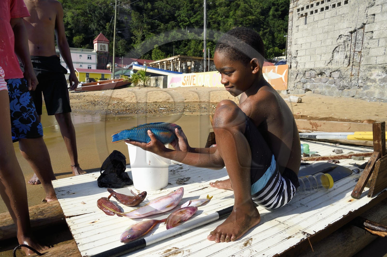 Caraïbes, Ile de la Dominique, baie de Soufrière, groupe d'enfant au retour de pêche  sur la plage de Soufrière, jeune fille tenant un poissons-perroquets (Scaridae)