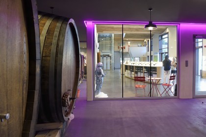 France, Haut-Rhin (68), Route des vins d'Alsace, Voegtlinshoffen, Maison Joseph Cattin, domaine viticole