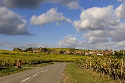 France, Bas-Rhin (67), Itterswiller, la route des vins