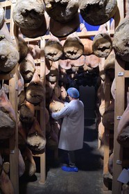 France, Pyrenees Atlantiques, Basque Country, Aldudes valley, the Aldudes collective dryer ensures the drying and the ripening of hams, ripening area