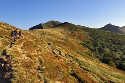 France, Cantal, Parc Naturel Régional des Volcans d'Auvergne (regional nature park of Auvergne volcanoes), Le Lioran, hikers going up to the Col de Rombière (mountain pass) on the Way of St. James to Santiago de Compostela by Via Arverna, the Puy Bataillouse and the summit of Teton de Venus on the right in the background overlooking the Alagnon valley